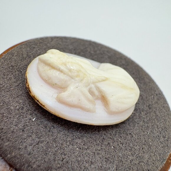 VTG Loose Stone Carved Shell White Profile Cameo Size 1" Length by 0.75" Width - Picture 2 of 9